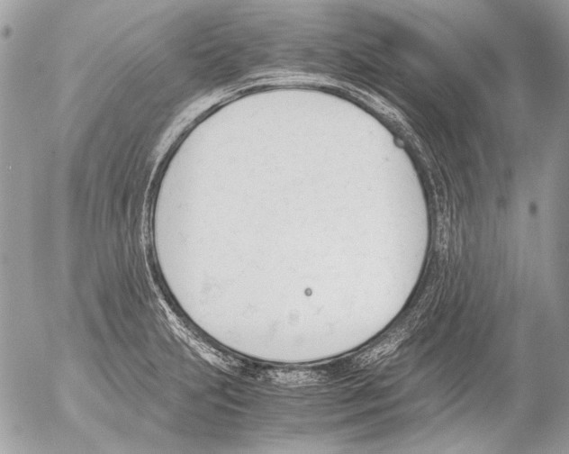 X0000052611231200507292140