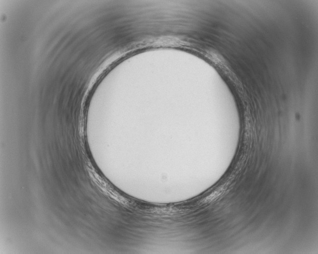 X0000052611232200507292140