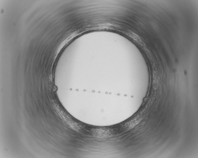 X0000052611234200507292140