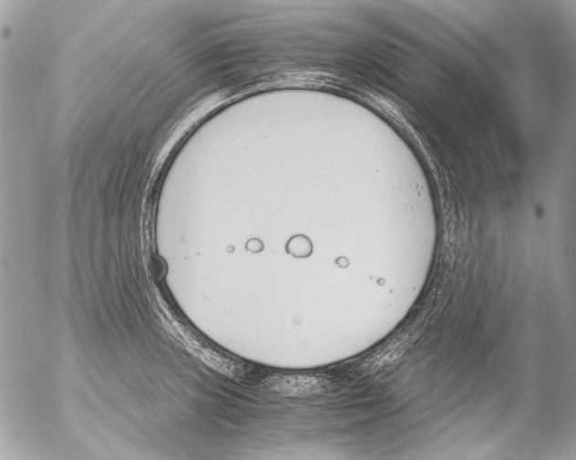 X0000052611235200507292140