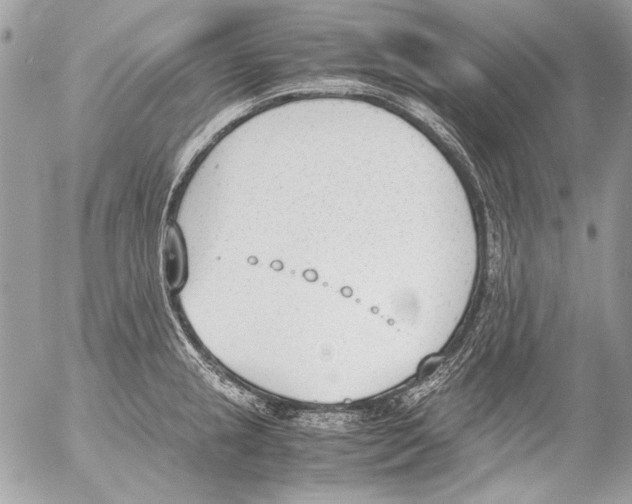 X0000052611237200507292140