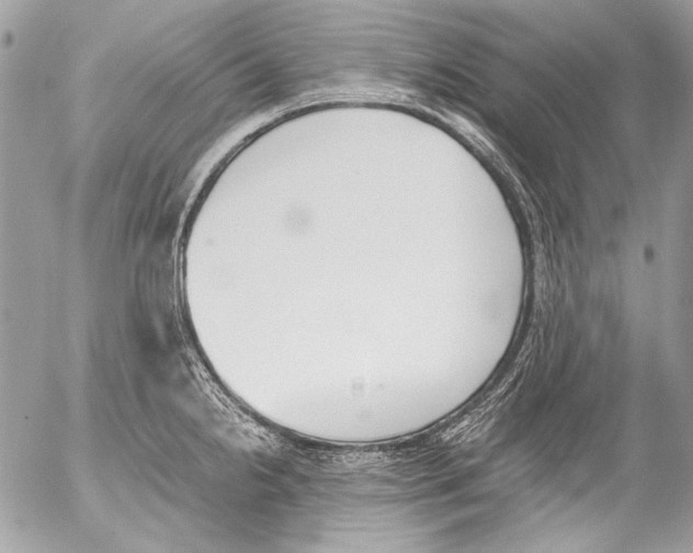 X0000052611238200507292140