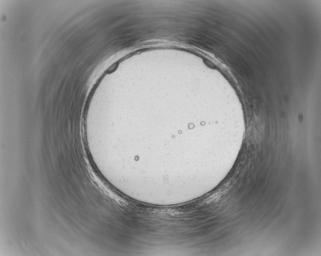 X0000052611239200507292141