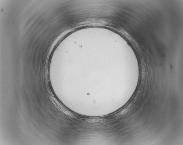 X0000052611240200507292141