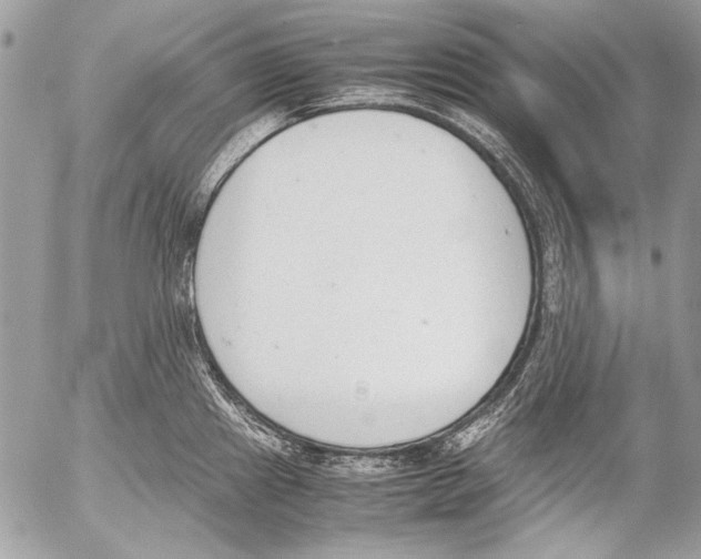 X0000052611241200507292141