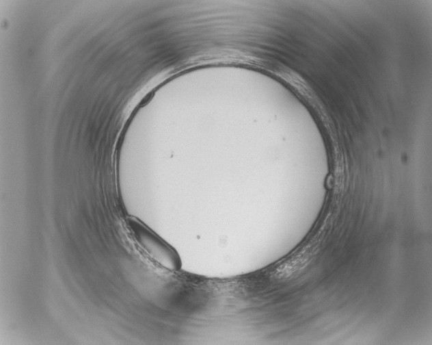 X0000052611242200507292141