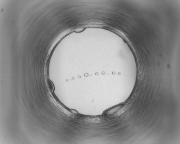 X0000052611243200507292141