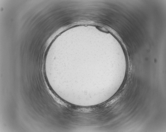 X0000052611245200507292141