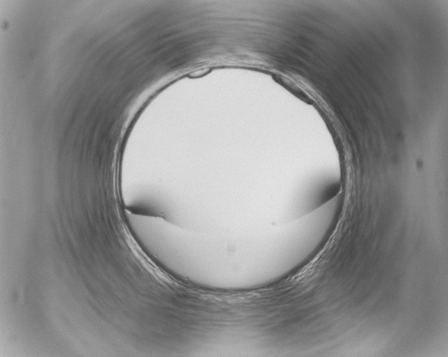 X0000052611246200507292141