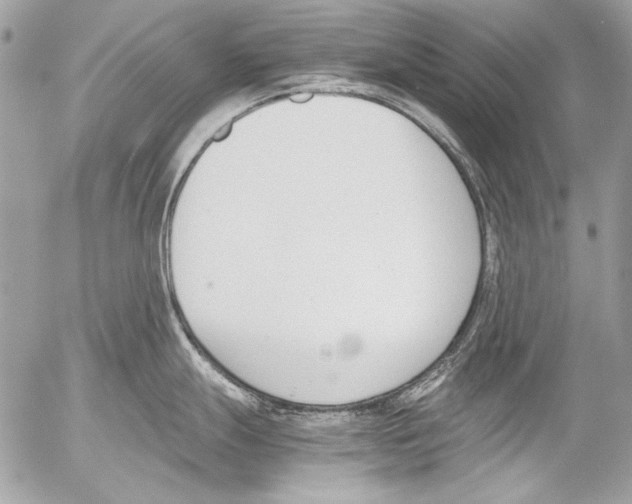 X0000052611247200507292141