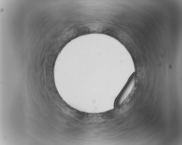 X0000052611249200507292140