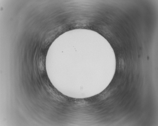 X0000052611250200507292140