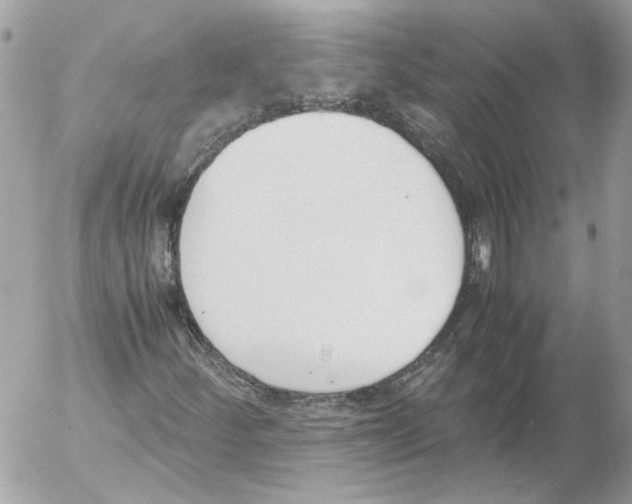 X0000052611252200507292140