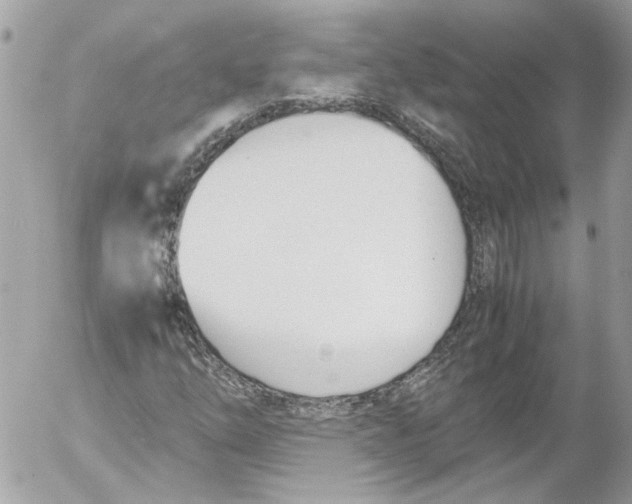 X0000052611254200507292140