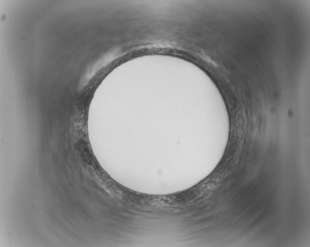 X0000052611255200507292140