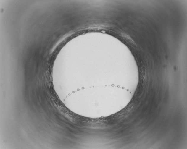 X0000052611256200507292140