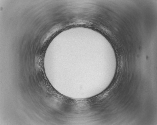 X0000052611258200507292140