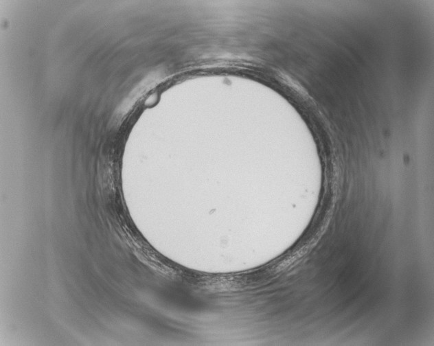 X0000052611259200507292140