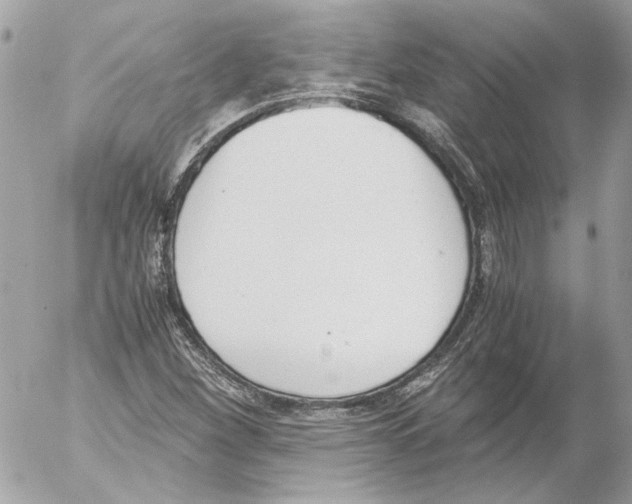 X0000052611260200507292140