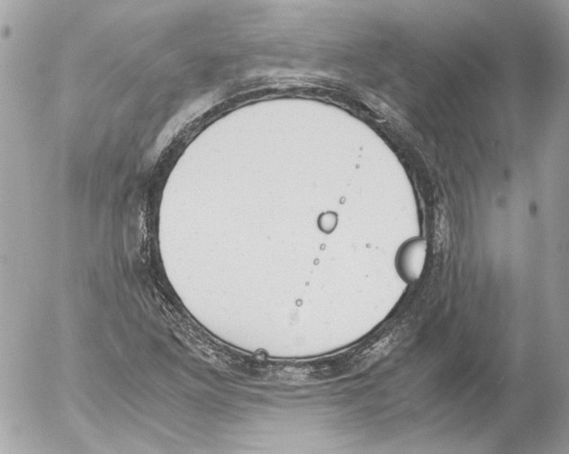 X0000052611261200507292140