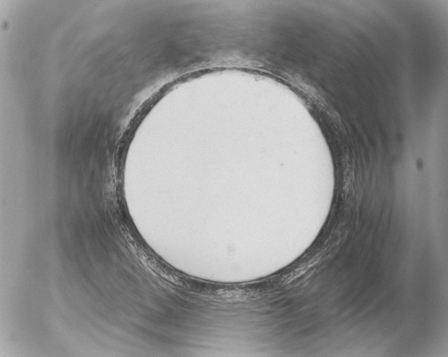 X0000052611264200507292140