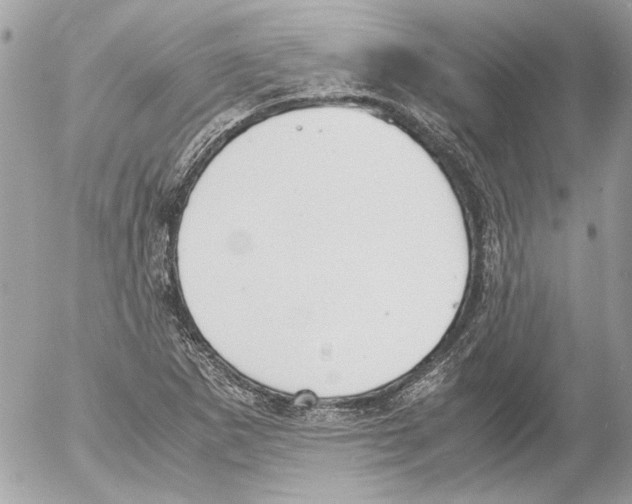 X0000052611265200507292140