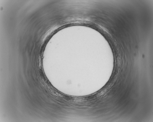 X0000052611267200507292140