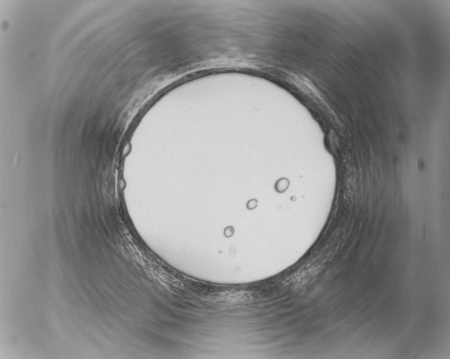 X0000052611268200507292140