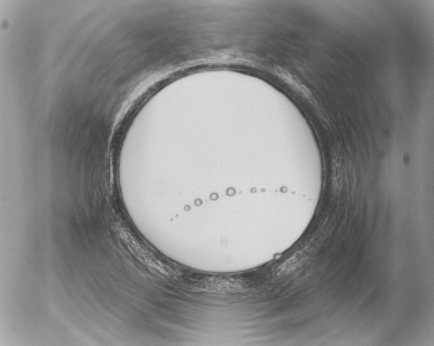 X0000052611270200507292140