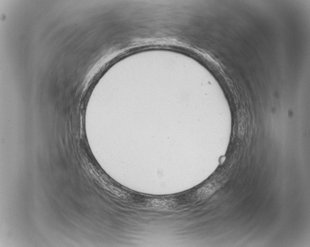 X0000052611271200507292140