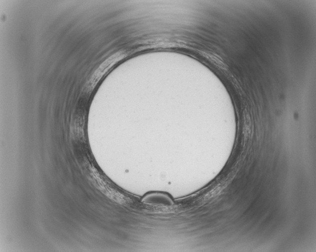 X0000052611273200507292139