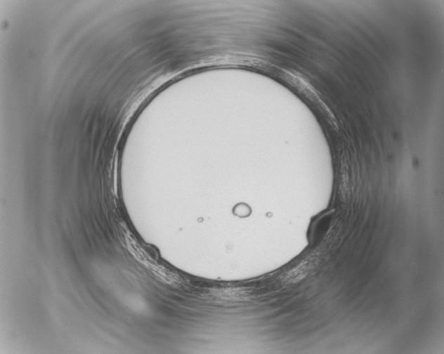 X0000052611276200507292139