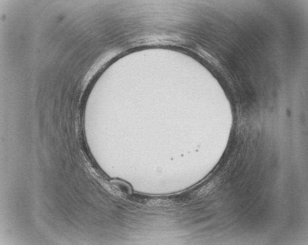 X0000052611277200507292139