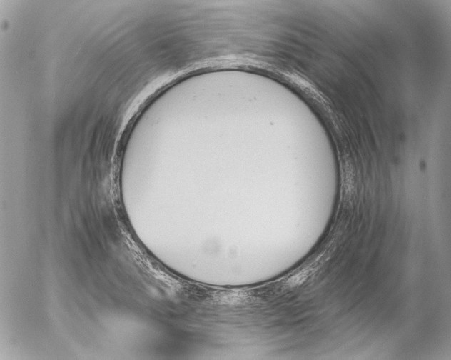 X0000052611278200507292139