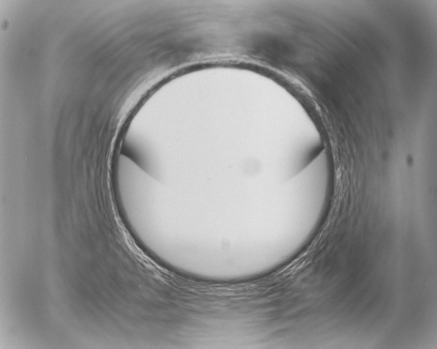 X0000052611279200507292139