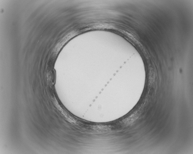 X0000052611281200507292139