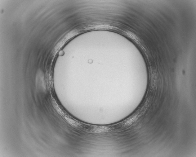 X0000052611282200507292139