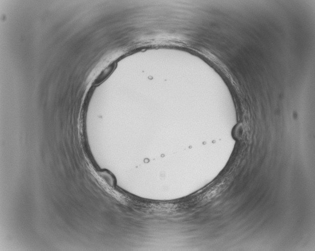 X0000052611285200507292139