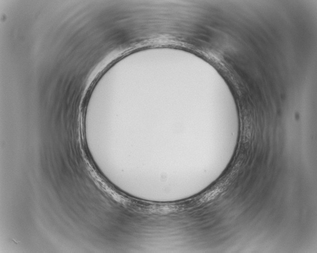 X0000052611286200507292139