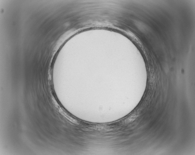 X0000052611287200507292139