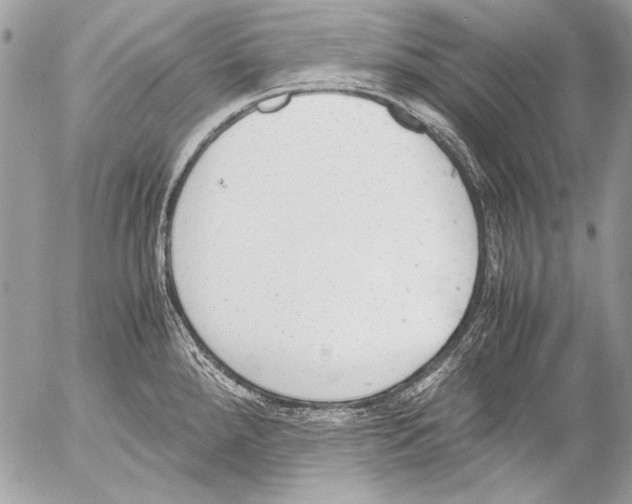 X0000052611288200507292139