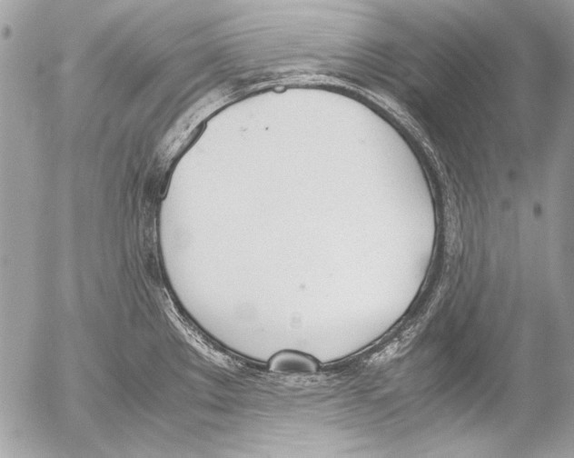 X0000052611289200507292139