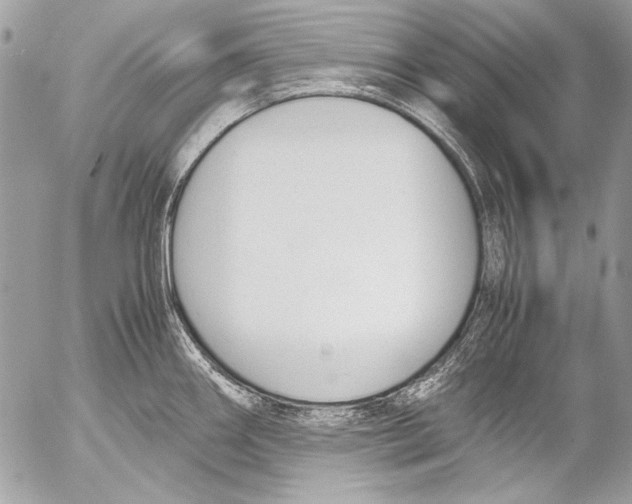 X0000052611290200507292139