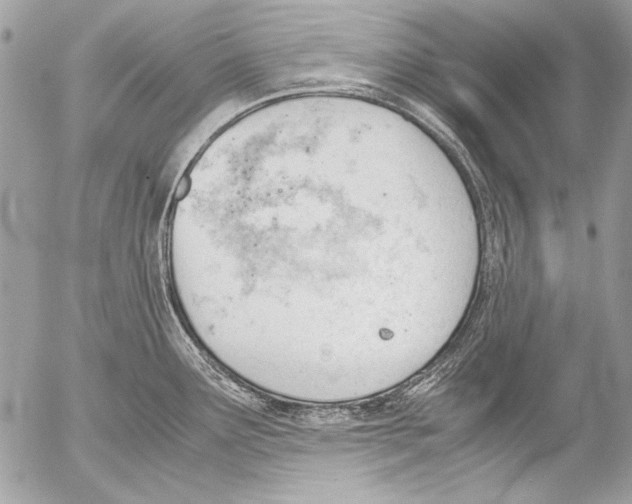 X0000052611291200507292139