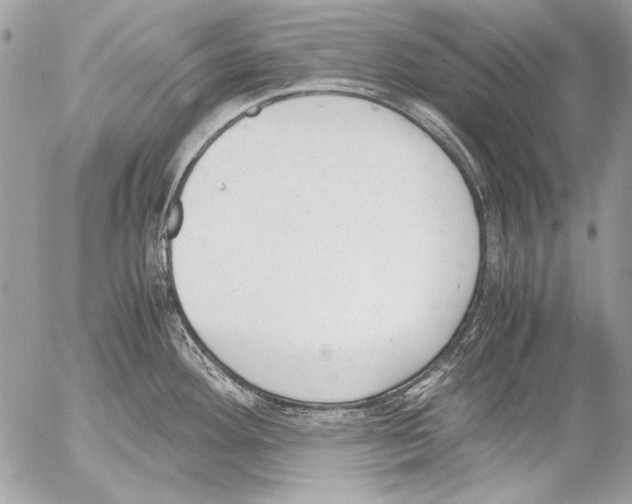 X0000052611292200507292139