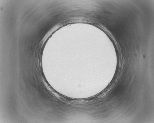 X0000052611293200507292139