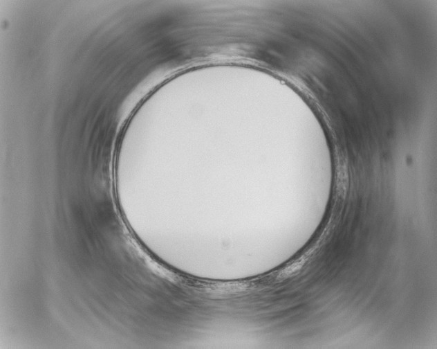 X0000052611294200507292139