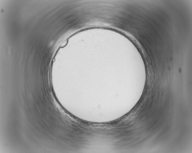 X0000052611295200507292139