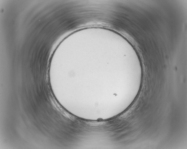 X0000052611296200507292139