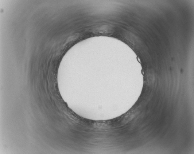 X0000052611297200507292138